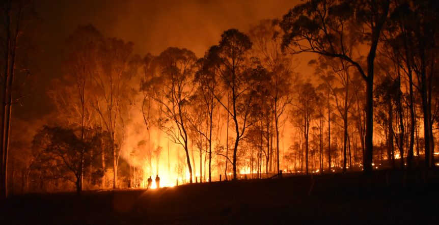 Supporting Australian Wildfire Relief
