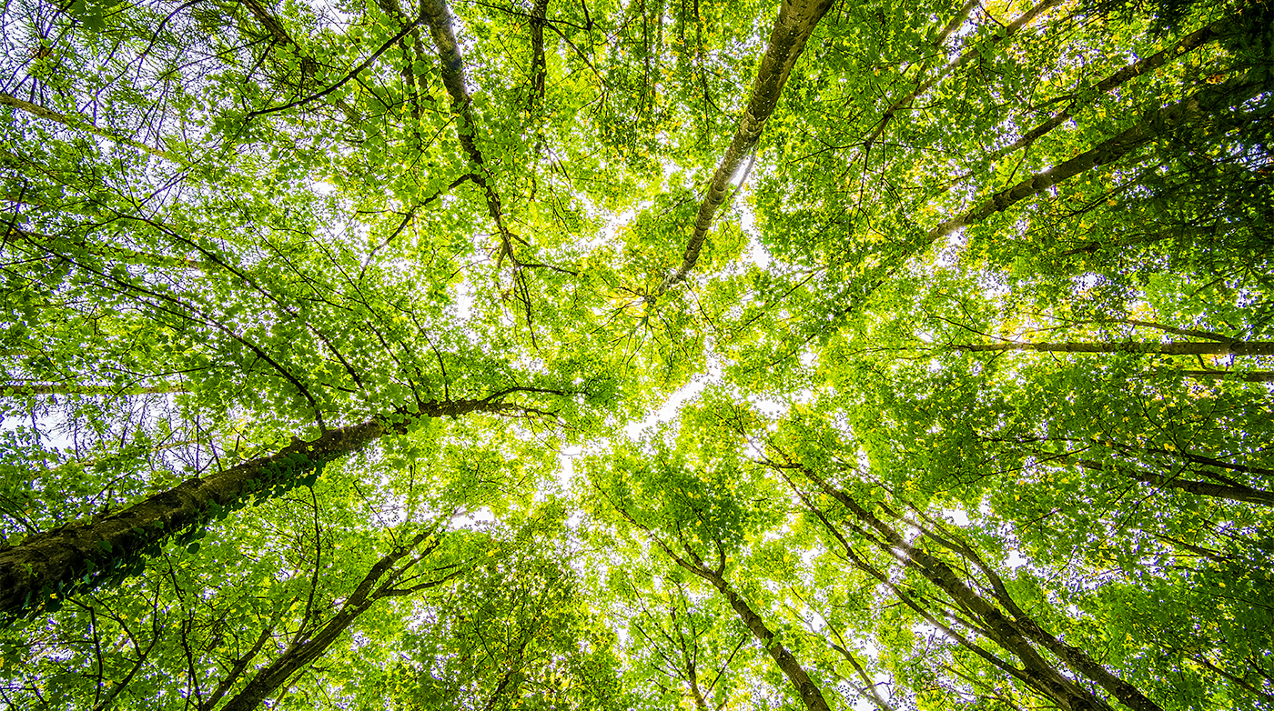 Corporate Leaders Count on Greater Horizons to Answer Complex Questions About Charitable Solutions