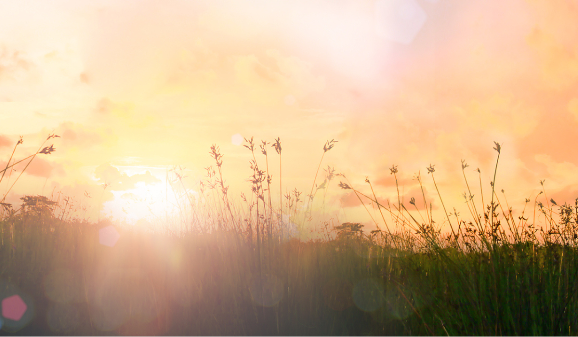 Calm of country meadow sunrise landscape background